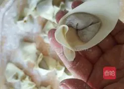 Illustration of how to make zucchini and pork wontons 11