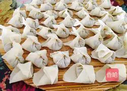 Illustration of how to make pork wontons 15