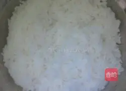 Egg Fried Rice Recipe Illustration 1