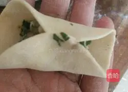 Illustration of making handmade dumplings 10