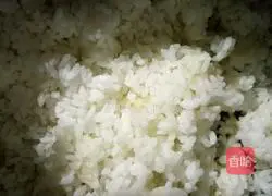 Illustration of homemade fried rice 3