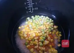 Illustration of tomato braised rice 2