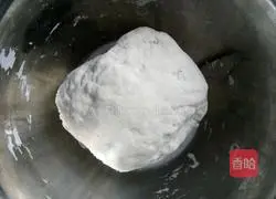 Pork and Cabbage Illustration of how to make dumplings 2