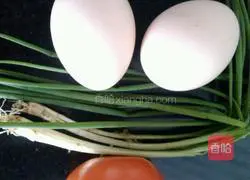 Tomatoes Illustration of how to make egg fried rice 1