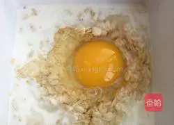 Oatmeal Pancake Recipe Illustration 2