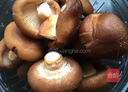 Illustration of how to make bacon, mushroom, and tofu dumplings 1