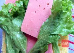 Illustration of how to make ham and egg sandwich 7