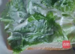 Sandwich Illustration of how to do it 3