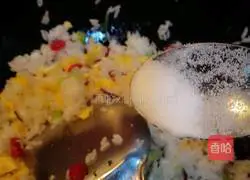 Assorted Fried Rice Recipe Illustration 8