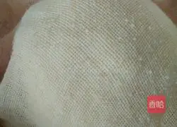 Illustration of how to make vegetarian dumplings 2