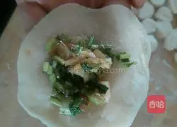 Illustration of how to make coriander and pork dumplings 7