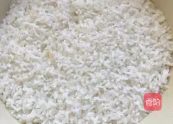 Xinjiang style pineapple and egg fried rice recipe illustration 1