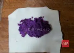 Illustration of how to make spring rolls with leftover wonton wrappers 2