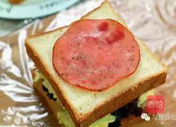Variety of sandwich recipes 7