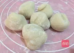 Illustration of how to make beef dumplings 3