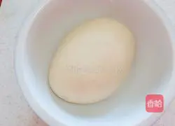 Illustration of how to make mushroom and shepherd's purse dumplings 4