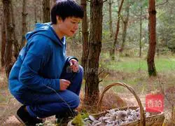 High-end condiment mushroom oil method for mixing vegetables and noodles that are too fresh Illustration 1