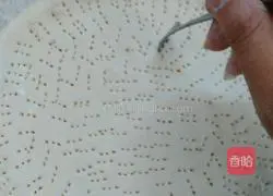 Illustration of making homemade pizza with electric baking pan 11