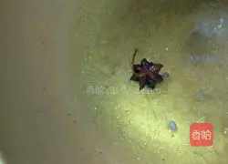 Illustration of how to make steamed beans and noodles 3