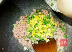 Assorted Fried Rice Recipe Illustration 5