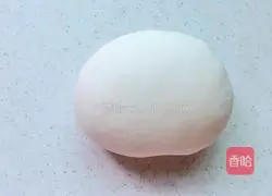 Illustration of how to make long bean, fragrant pork dumplings 2