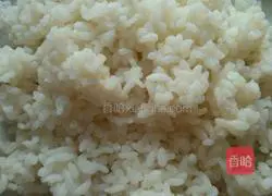 Golden Fried Rice Recipe Illustration 1