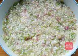 Zucchini dumplings recipe 5