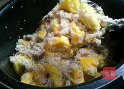 Pumpkin Rice Recipe Illustration 5