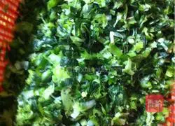 Illustration of how to make dumplings 1