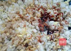 Soy Sauce Fried Rice Recipe Illustration 6