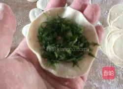 Illustration of how to make fennel seedling vegetarian dumplings 12