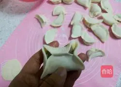 Illustration of how to make pork and onion dumplings 17