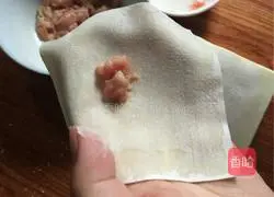 Illustration of how to wrap wontons 2