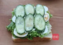Tuna cheese sandwich recipe 5