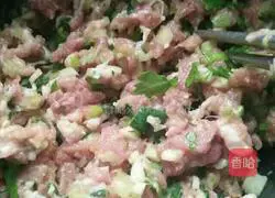 Pork and Carrot Dumplings Recipe Illustration 1