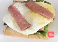 Sandwich Recipe Illustration 4