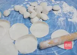 Vegetarian filling dumplings Illustration of how to do it 9