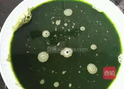 Green Fried Noodles Recipe Illustration 3