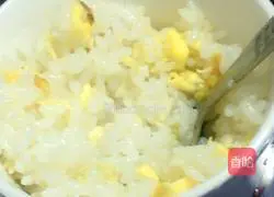 Egg Fried Rice Recipe Illustration 9