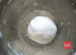 Illustration of homemade stuffed glutinous rice balls 2