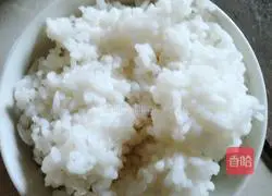 Egg, ham and sausage fried rice Practice illustration 2