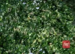 Illustration of how to make leek/cabbage dumplings 3