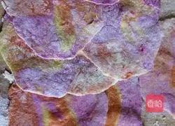 Illustration of how to make wheat buns stuffed with chives and eggs 17