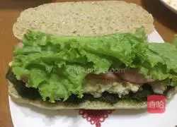 Green Egg and Ham Sandwich Recipe Illustration 8