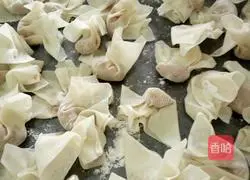 Illustration of how to make wontons 5
