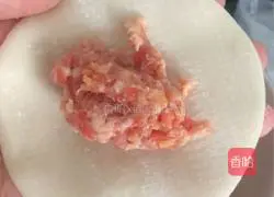 Pork Dumpling Recipe Illustration 6