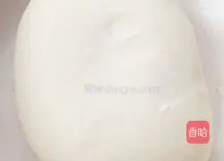 Illustration of how to make vegetarian dumplings 10