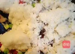 Assorted Fried Rice Recipe Illustration 6