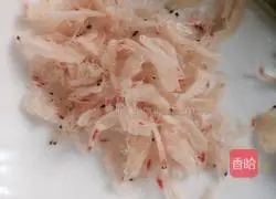 Illustration of how to make Su-style wontons 4