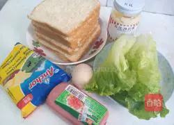 Ham and cheese sandwich Illustration of how to do it 1